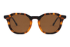 Óculos de sol de acetato-FG1232T