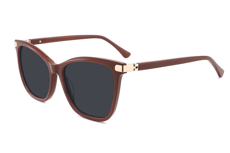 Óculos de sol de acetato-ZD8825T