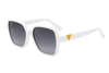 Óculos de sol de acetato-FG1058T