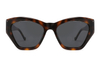 Óculos de sol de acetato-FG1506T