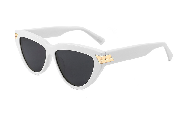 Óculos de sol de acetato-FG1438T