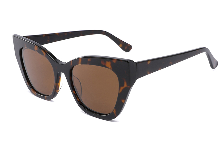 Óculos de sol de acetato-FG1226T