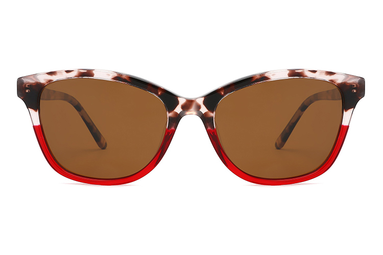 Óculos de sol de acetato-FG1364T