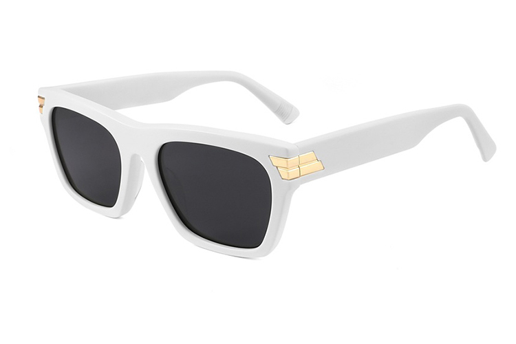 Óculos de sol de acetato-FG1436T