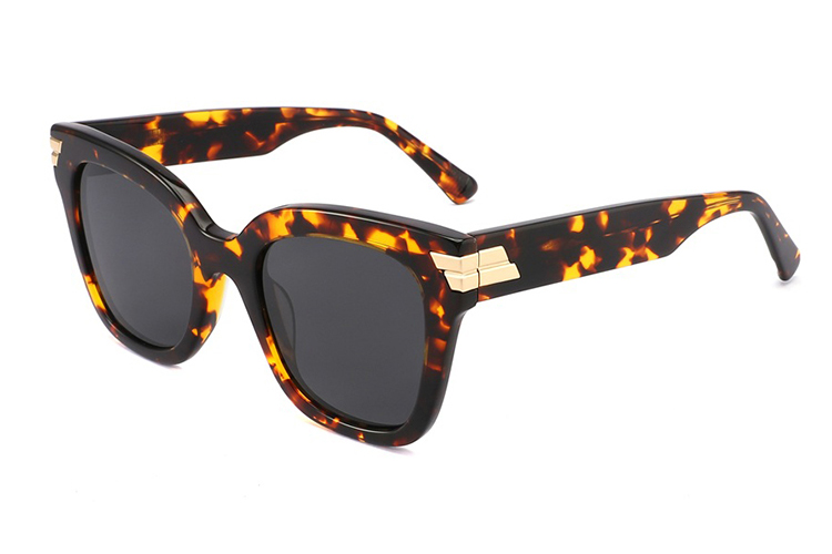 Óculos de sol de acetato-FG1440T