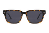 Óculos de sol de acetato-FG1561T