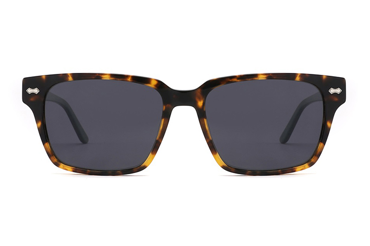 Óculos de sol de acetato-FG1561T