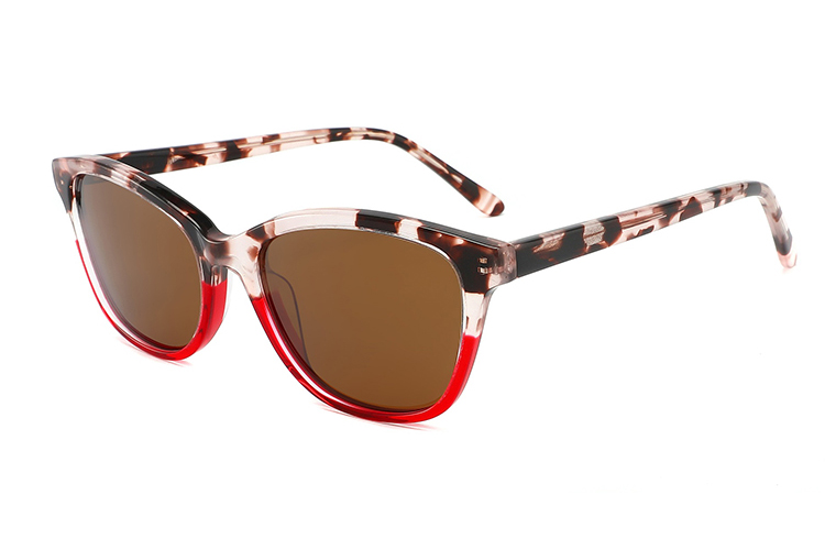 Óculos de sol de acetato-FG1364T