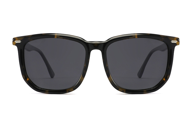 Óculos de sol de acetato-FG1524T