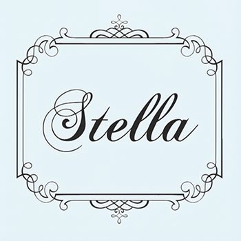 Arma&ccedil;&otilde;es de &oacute;culos de marca pr&oacute;pria com logotipo Stella