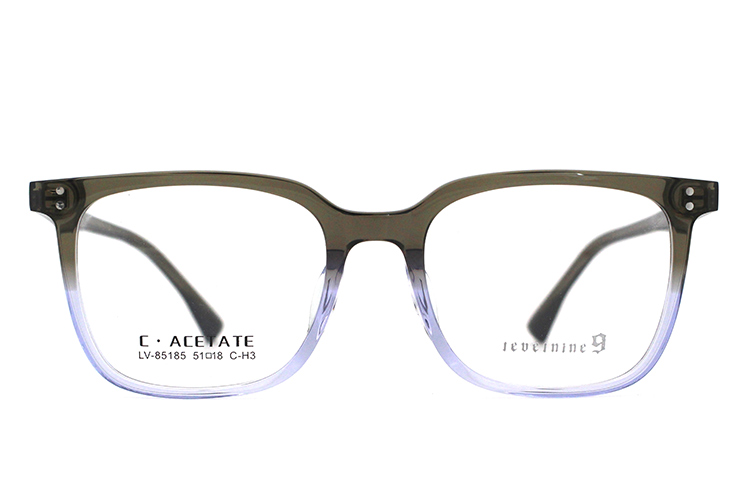 Armações de óculos de acetato LevelNine 85185