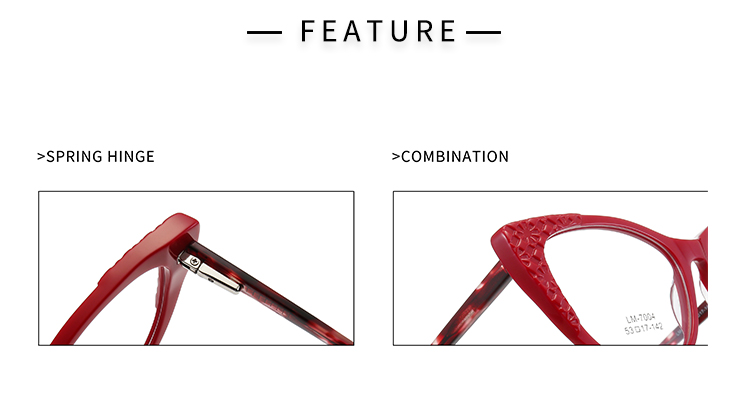 &Oacute;culos Cat Eye - Detalhes