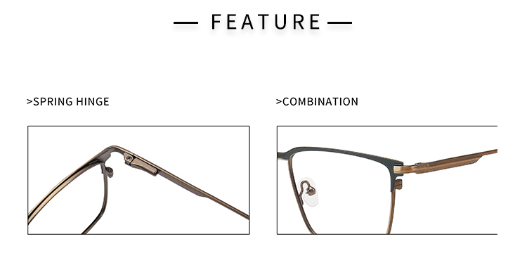 &Oacute;culos Browline LM-1014_03