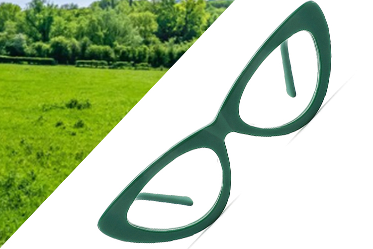 Arma&ccedil;&otilde;es de &oacute;culos Prairie Greens - Modelo LT2017